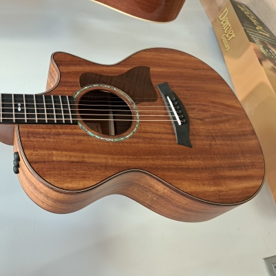 Store Special Product - Taylor Guitars - 724CE